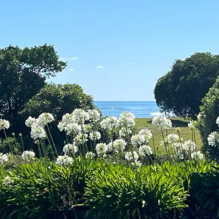Wellwood Cottage - Beach Front Escape Te Awanga Exterior photo