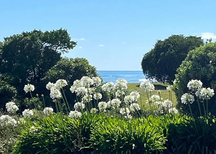 Wellwood Cottage - Beach Front Escape